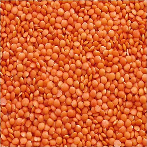 मलका मसूर दाल — image 2